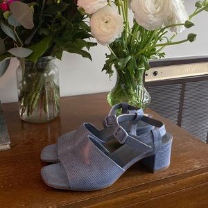 Everlane 90s blue heeled sandals
